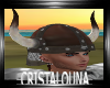 Viking horns helmet