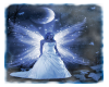 Midnight Fairy