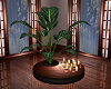 HARMONIOUS PLANT/CANDLES