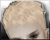 8.bobby02