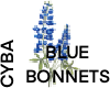 BlueBonnets Custom Hair