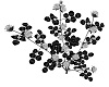white black roses