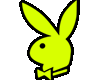 Playboy Bunny Yellow