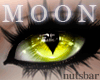 *n* moon yellow cat /F