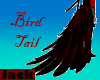 -N- Bird Tail