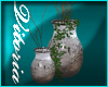 )( Decorative Vases