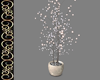 Ballroom Plant 2
