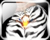BBR Xtra Zebra Tiger