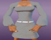 Silver Gray Belted Dress