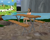 (MP) picnic table 2