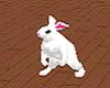 white animated rabbit