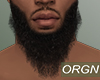 oldie beard