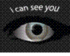 I Can See You