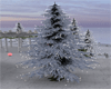 big snowy tree/lights