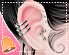 🔔 Silver Piercings R
