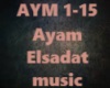 Yasser Abdelrahman-Ayam