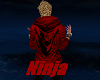 Red Ninja Hoodie