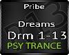 Pribe-Dream P1