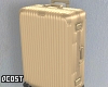 Nude Luggage