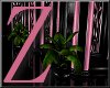 Z LS Pink Palm Plant V1