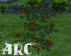 ARC Burnt Orange Roses