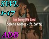 I'm sorry-SWL1-17