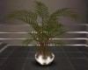 :YL:La Barage plant