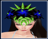 crown queen