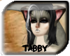 ®T: Grey Tabby Fur:M
