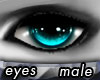 QASLOU Merlin Eyes