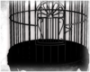 ; my birdcage ɞ