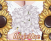 AM* Amaira Bouquet