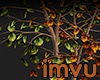 Autumn Branches