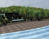 Darkest Island Home