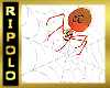 Animated Bat Spider &Web