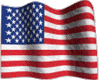 ® USA ANIME FLAG