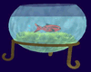 Oriental Fish Tank