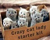(SD)cat lady starter