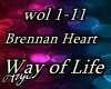 Brennan Heart Way of