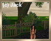 Night Park in Summer