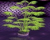 Do.Clubs Violet Plant