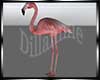Pink Flamingo Deco