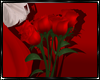 Valentine Roses+Pose