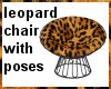 (MR) Leopard Papasan