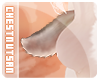 C | Rako Tail V4