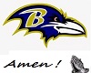 Ravens NFL Jersey (M)