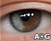Eyes