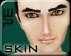 [wsn]Skin#the Prince