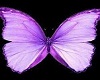 Butterfly Ore LP