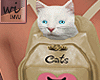 260│Bag